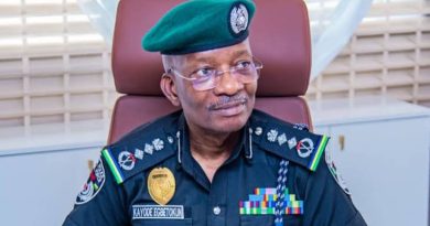 Group ask Tinubu to Ignore Calls for IGP Egbetokun’s Removal, says Call Unpatriotic